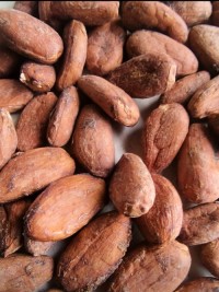Cocoa Beans