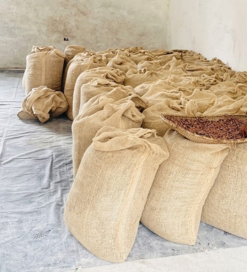 Cocoa Beans